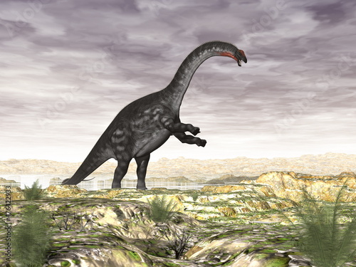 Apatosaurus dinosaur in the desert - 3D render © Elenarts