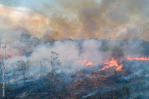 Incêndio na Floresta / Queimadas vista com Drone Fototapet