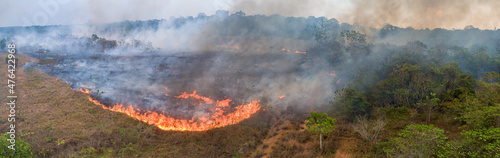 Photo Incêndio na Floresta / Queimadas vista com Drone