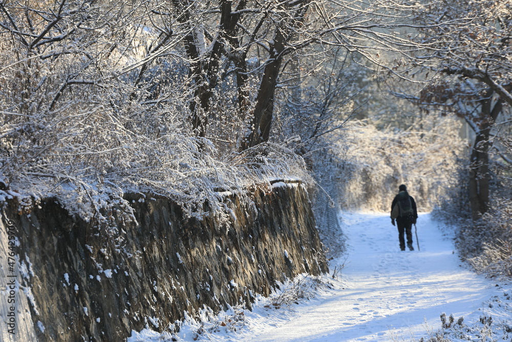 winter in the park