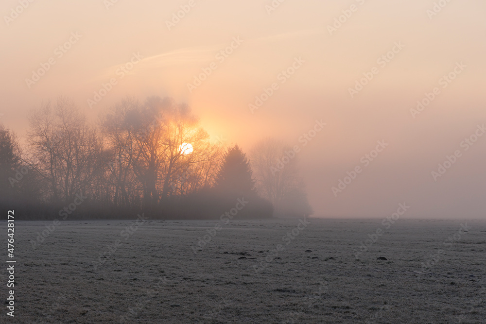 A hoarfrost covered misty meadow at sunrise in the Siebenbrunn nature reserve near Augsburg, Germany