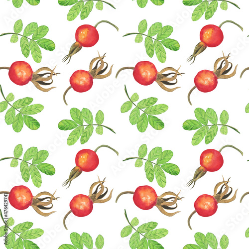 Rose hip berry and leaf in seamless pattern isolated on white background. Watercolor hand drawing illustration. Perfect for food design, textile, wrapping.