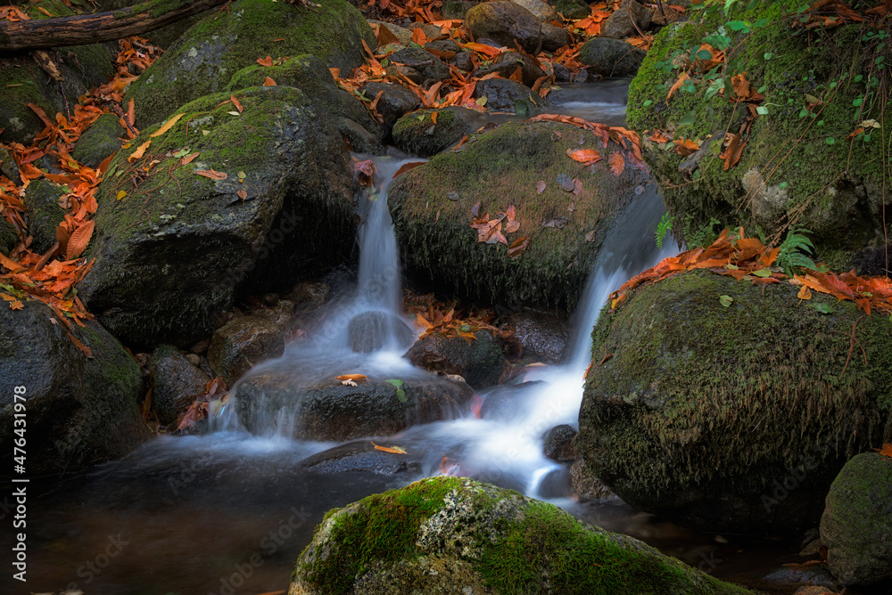 Streams of clean water in the forests of Extremadura in autumn landscape. Hervas, Extremadura, Spain. Streams of clean water in the forests of Extremadura in autumn landscape. Hervas, Extremadura, Spain.