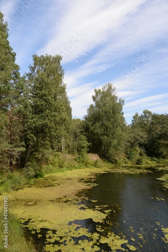 The Nerl River in the Yaroslavl region. Russia photo