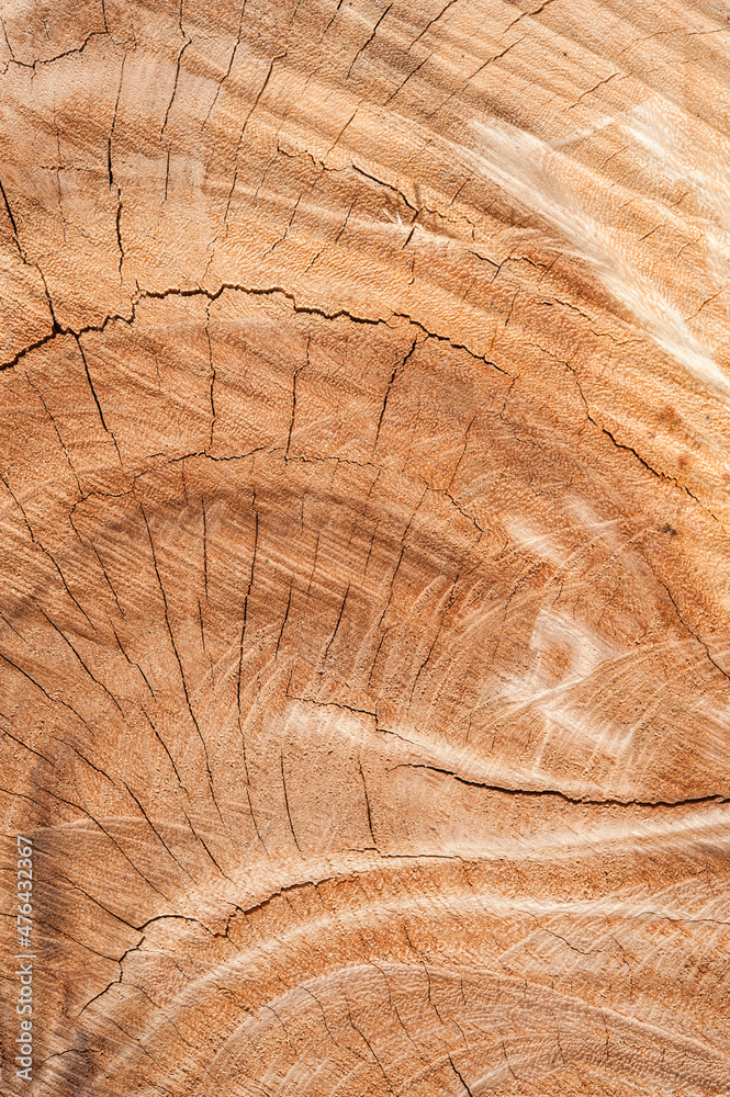 Naklejka premium a wood wooden orange texture background