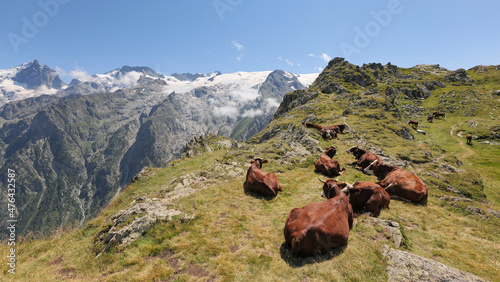 Foto randonnée au plateau d'emparis, massif des écrins