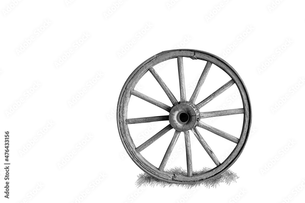 A roda