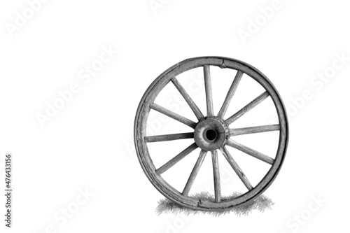A roda photo