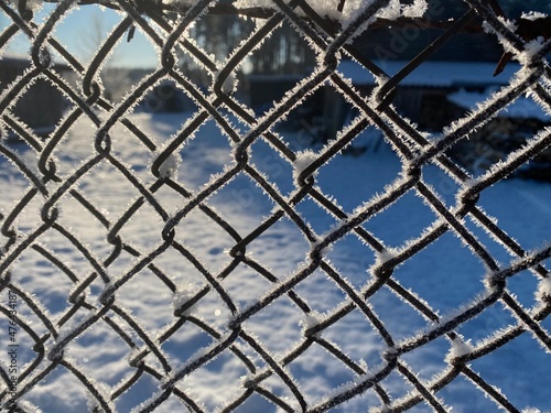 metal frosted fence in winter