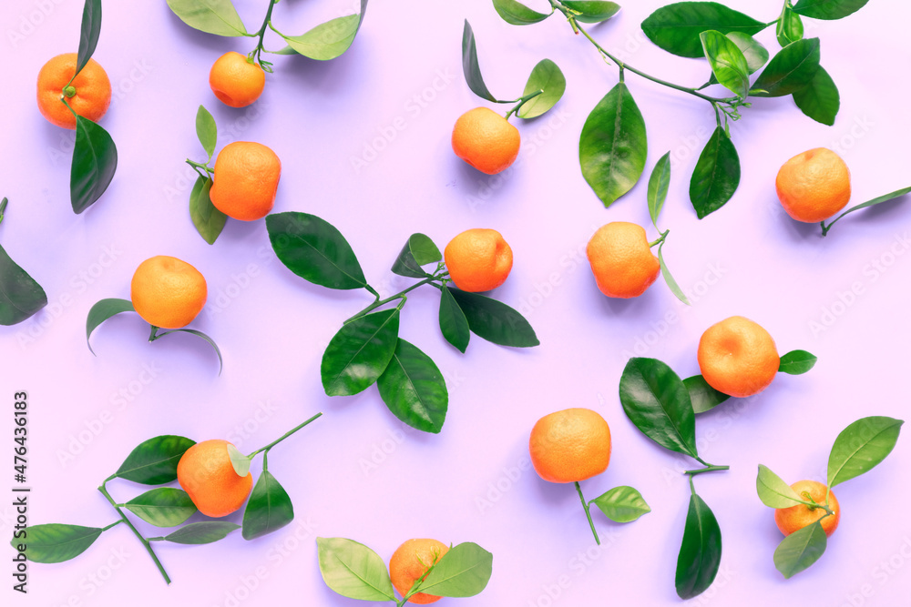 Mandarins with leaves on a lilac background. Flat lay, top view. Mandarins with leaves on a lilac background. Flat lay, top view.