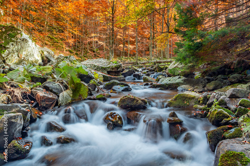 Dardagna waterfalls
  Group of waterfalls accessible by footpath through a beech forest, known for its colorful autumn foliage. photo