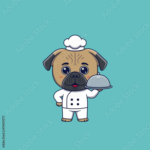 Cute pug dog chef holding restaurant cloche