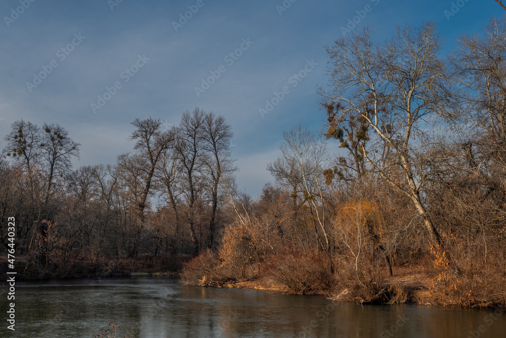 Late fall. Trees that have thrown off their leaves are reflected in the waters of the river. Late fall. Trees that have thrown off their leaves are reflected in the waters of the river.