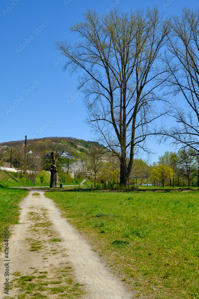 Mainprallhänge und Weinberge zwischen Retzbach am Main und Thüngersheim, Landkreis Main-Spessart, Unterfranken, Bayern, Deutschland