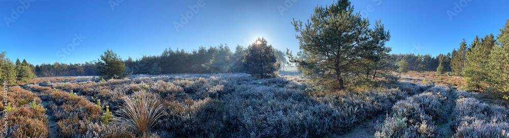 Winter landscape panorama around the Holterberg