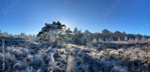 Winter landscape panorama around the Holterberg photo