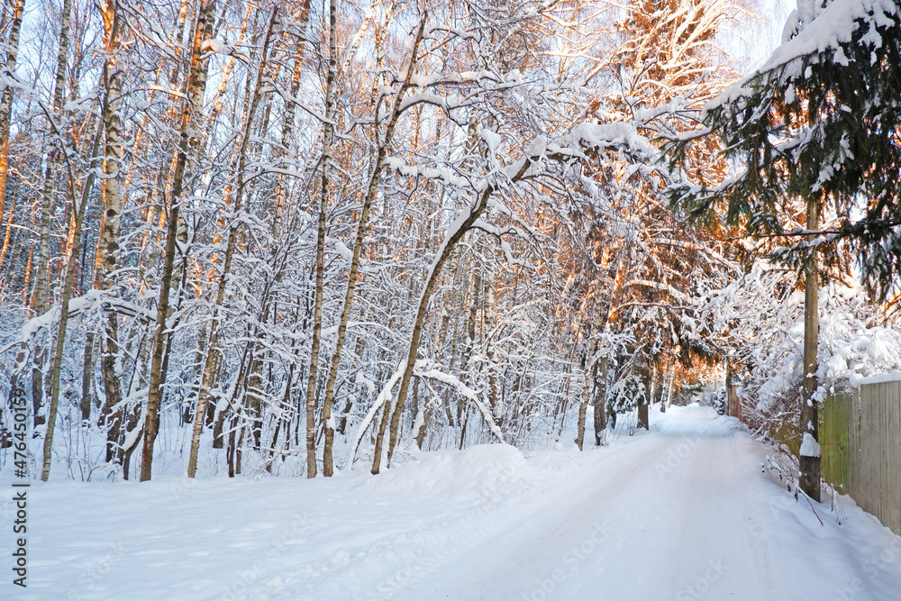 custom made wallpaper toronto digitalsnowy road in the winter