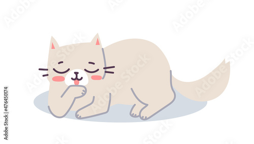 Vector illustration of happy cute cat character on white color background. Flat line art style design of cleaning animal cat