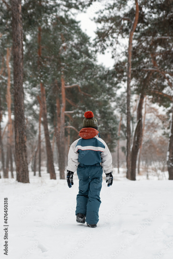 Boy in winter jumpsuit walks in woods in snow. Back view. Winter holidays in spruce forest.