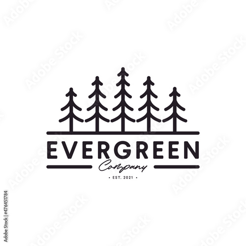 Vintage pine tree evergreen logo with lineart style design template