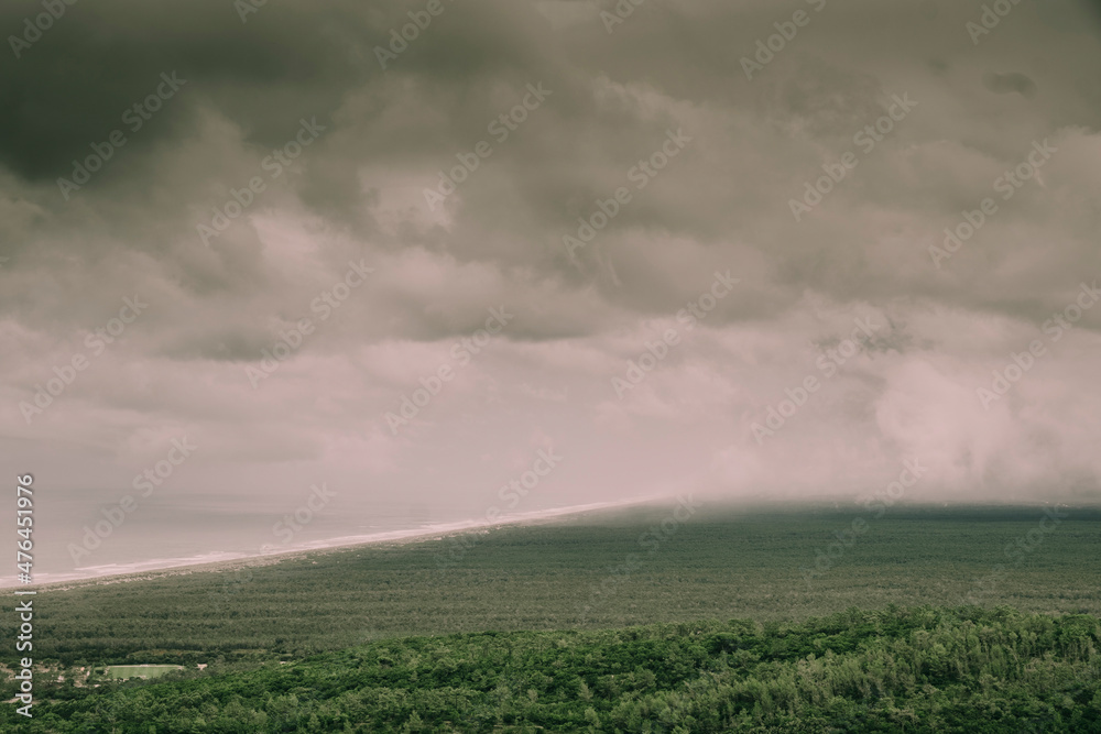 Cloudy sky over green forest
