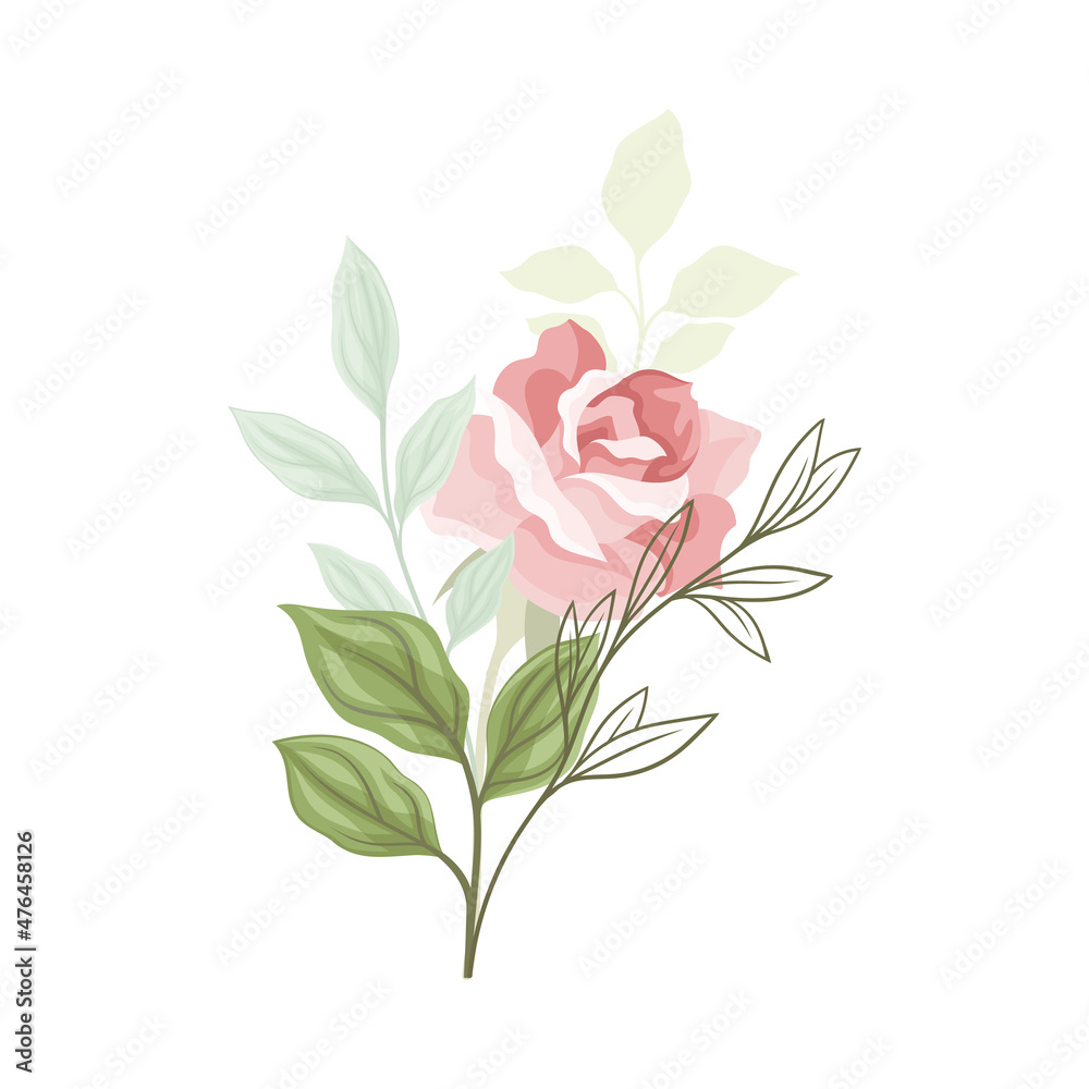 Beautiful Pink Rose Blossom on Stem with Green Leaf as Garden Flora Vector Illustration Beautiful Pink Rose Blossom on Stem with Green Leaf as Garden Flora Vector Illustration