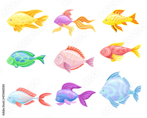 Marine tropical fishes set. Side view of beautiful colorful exotic fish vector illustration