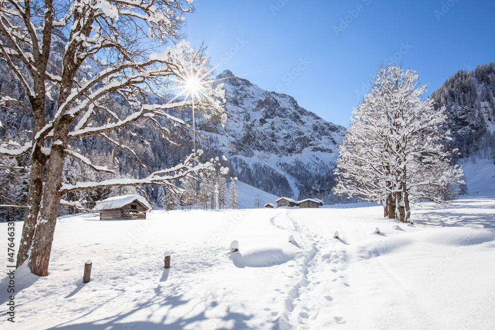 Naklejka premium Winterlandschaft im Pongau im Salzburger Land