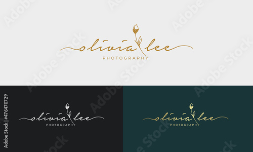 Handwriting logo template vector. signature logo concept.