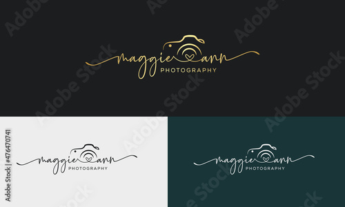 Handwriting logo template vector. signature logo concept.