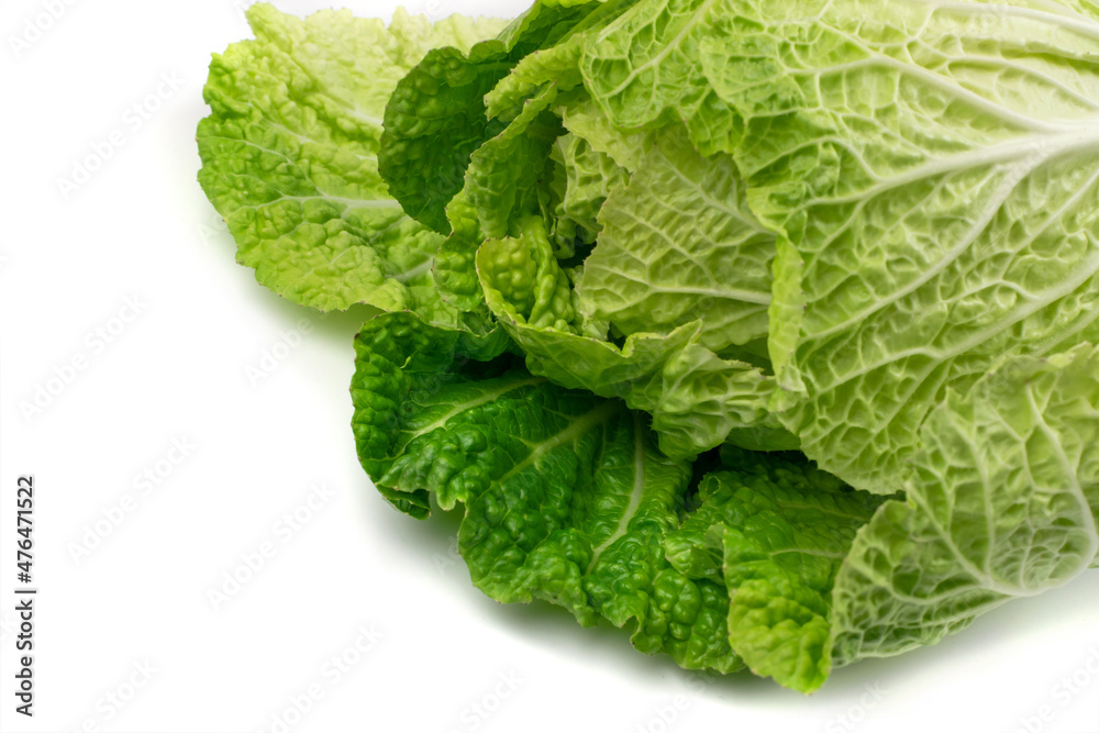 Whole Chinese Cabbage, Napa Cabbage or Wombok Whole Chinese Cabbage, Napa Cabbage or Wombok