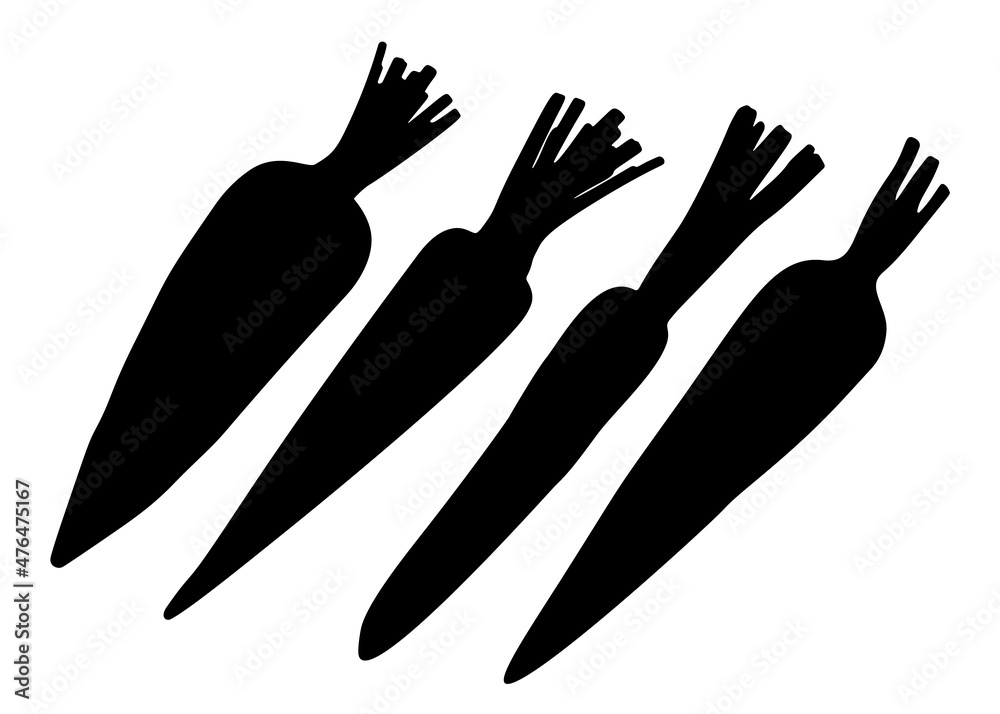 Garden carrot set. Vector image.