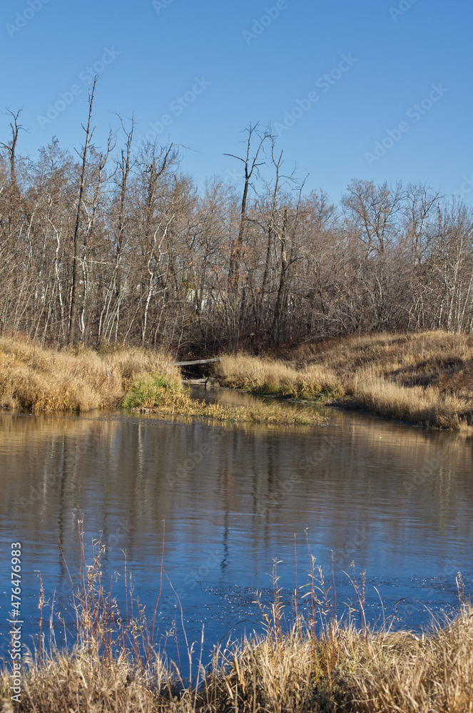 Pylypow Wetlands on a Late Autumn Day Pylypow Wetlands on a Late Autumn Day