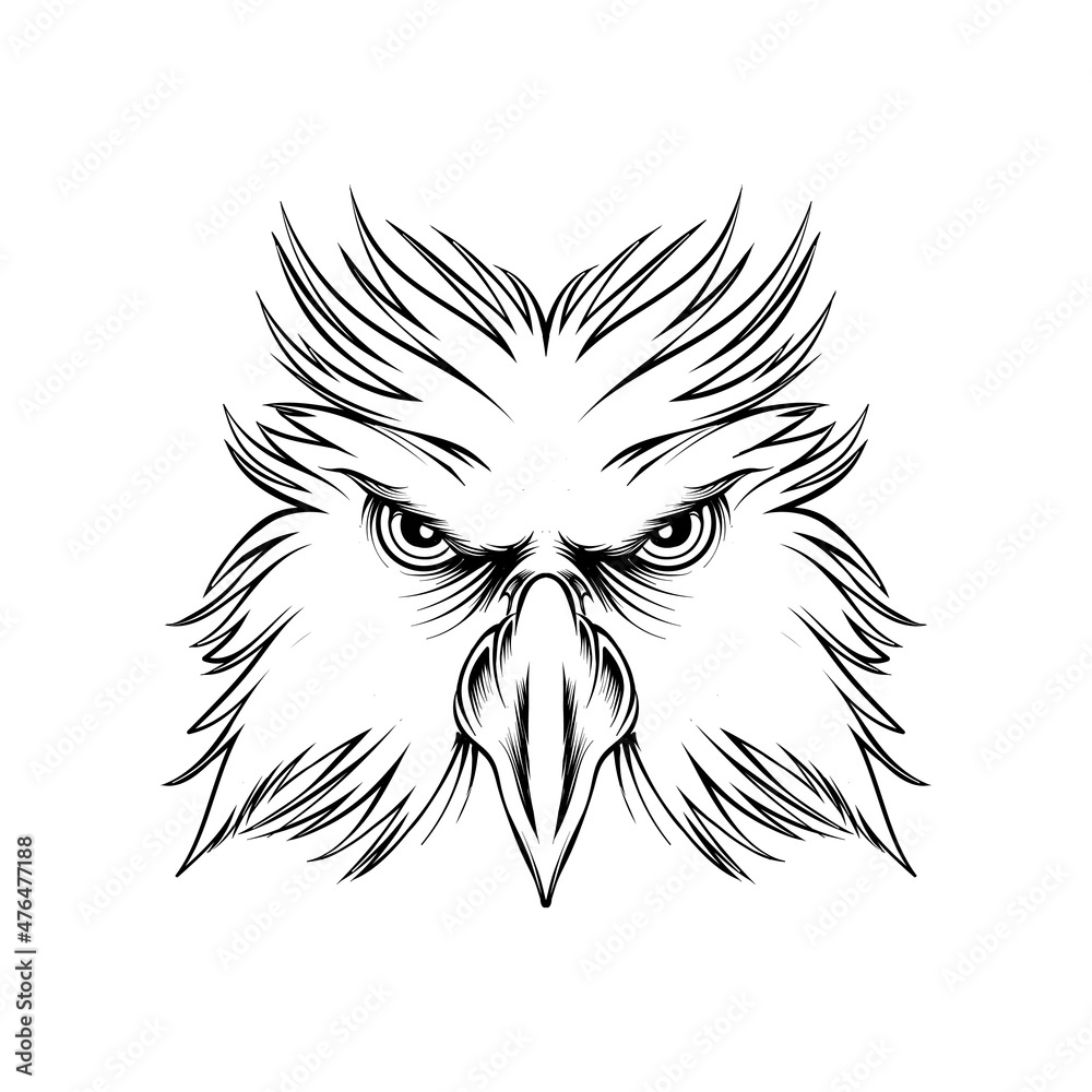 eagle head illustration sketch