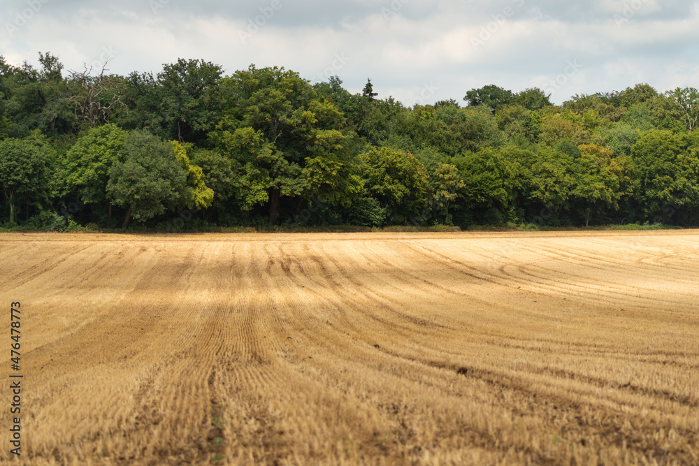 feld ackerbau