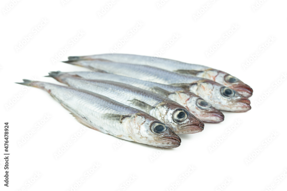 Fresh blue whiting on a white background. Fresh fish. Copy space. Fresh blue whiting on a white background. Fresh fish. Copy space.