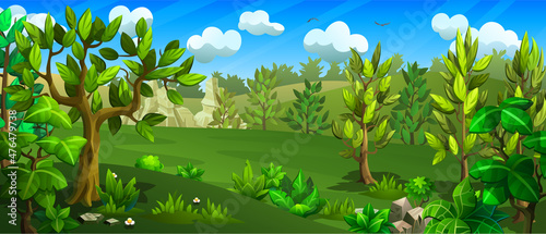 Green, forest glade with mountains in the background. Deciduous trees, mountains and hills.