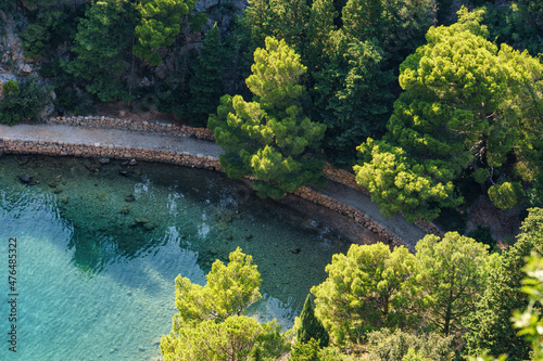 detailed view at Zavratnica Cove with beautiful clear blue water and green trees in the sunlight at Adriatic sea, Croatia photo