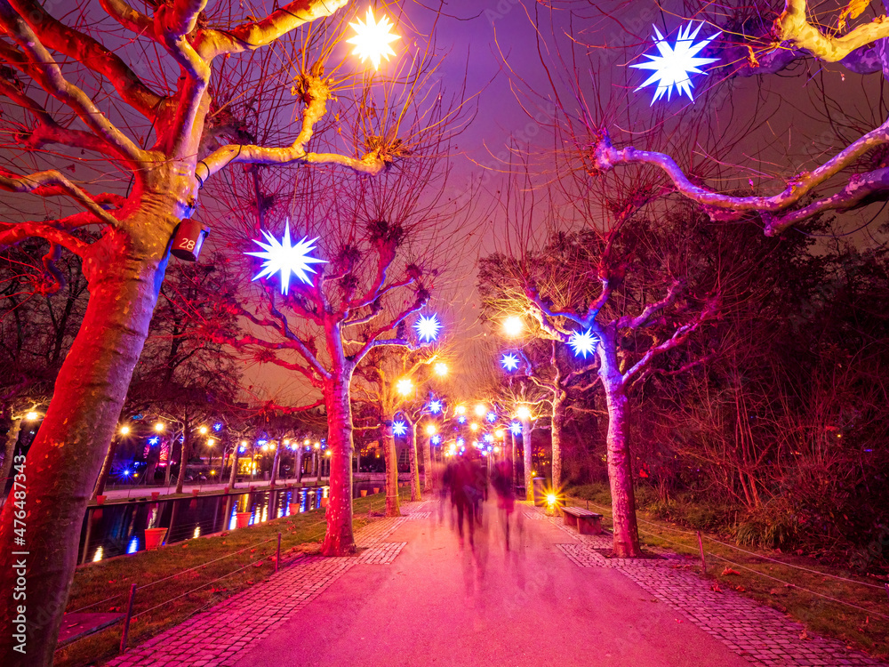 Rosa path way during Christmas with illuminated lights