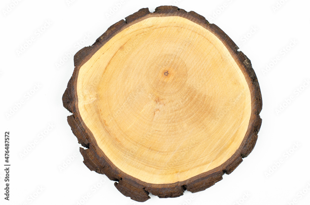 Cut, saw cut, slice, wooden section. Wooden circle with growth rings. Wooden saw cut isolated on white background. Macro shot. Close-up. Cut, saw cut, slice, wooden section. Wooden circle with growth rings. Wooden saw cut isolated on white background. Macro shot. Close-up.
