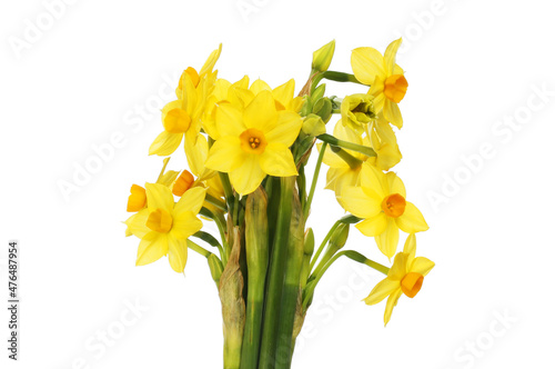 Bunch of narcissus flowers