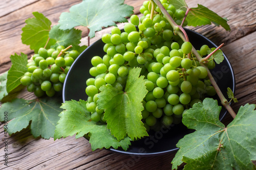 Unripe green grapes, grapevine with leaves (Turkish name; koruk) photo