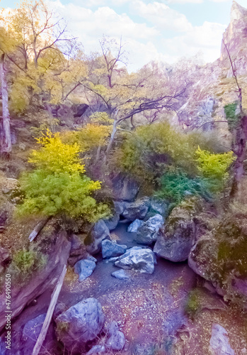 Creek with leaves