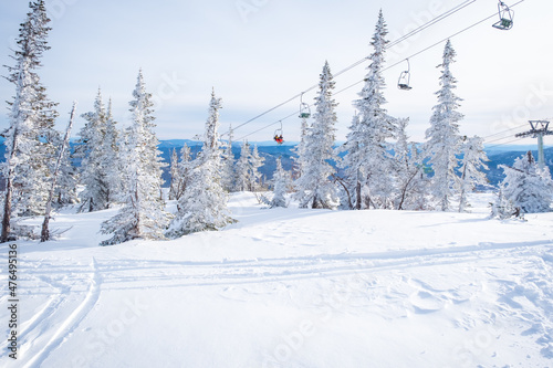 Winter landscape in Sheregesh ski resort in Russia, located in Mountain Shoriya, Siberia. Snow-covered fir trees on the background of mountains © Alexey Oblov