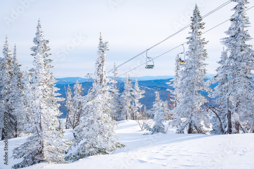 Winter landscape in Sheregesh ski resort in Russia, located in Mountain Shoriya, Siberia. Snow-covered fir trees on the background of mountains