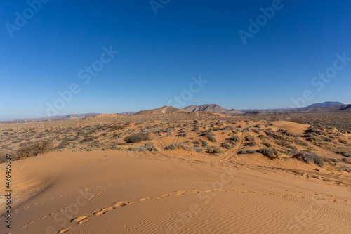 sand dunes in red sands