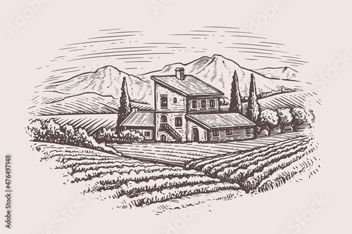 Rural countryside landscape with farm house and vineyard. Vector illustration landscape nature with agrarian fields