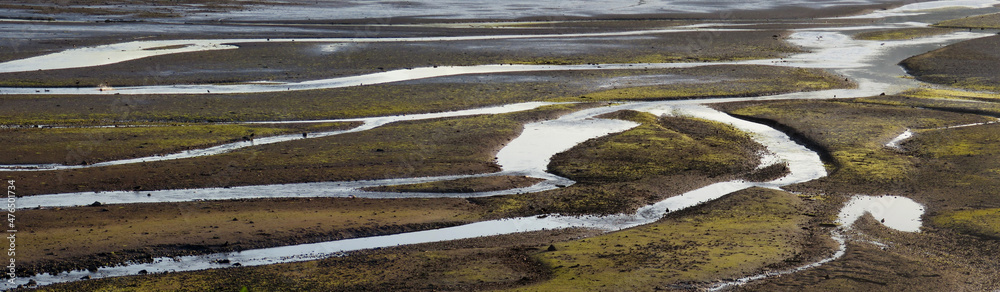 Muddy bottom of Port Moody bay