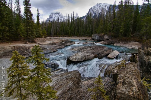 Typical Canadian lanscape featuring river  woods and snow-capped mountains