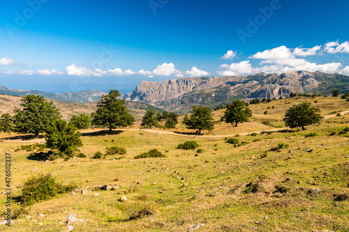 View of Rocche del Crasto near Alcara Li Fusi town in the Nebrodi Park, Sicily